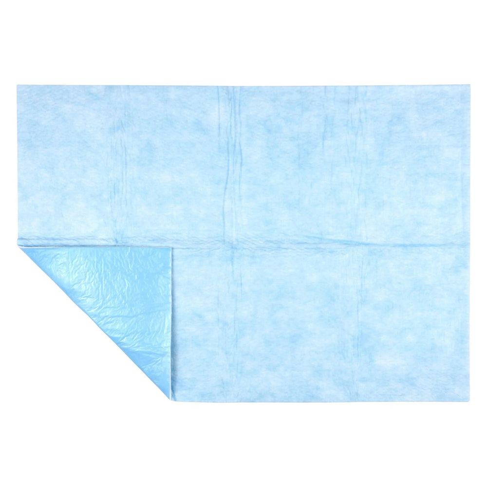 Absorbent Medical Floor Mats - American Hospital Supply