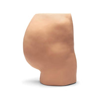 Adam Rouilly Ear Syringing Trainer, White | American Hospital Supply