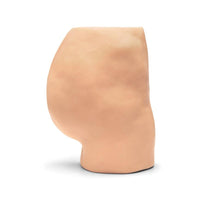 Adam Rouilly Ear Syringing Trainer, White | American Hospital Supply