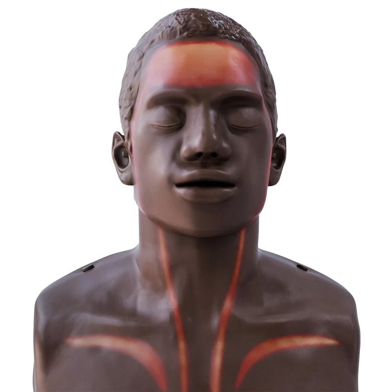 Brayden CPR Training Manikin - American Hospital Supply