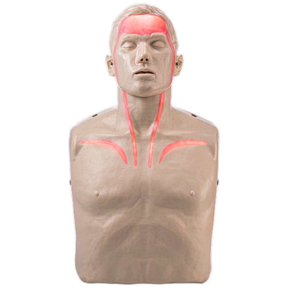 Brayden CPR Training Manikin - American Hospital Supply