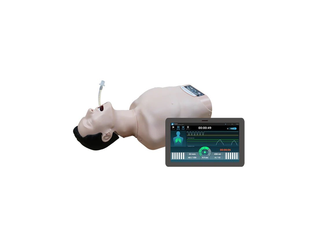 BT Inc Seem-Air Training Stimulator for CPR and Airway Management - American Hospital Supply