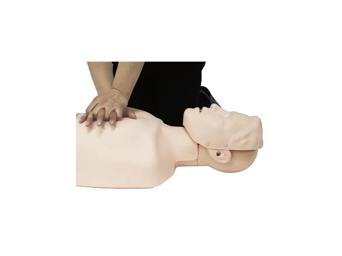 BT Inc Sherpa Plus CPR Trainer with LED Display and Magnetic AED Pads - American Hospital Supply