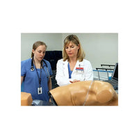 Blue Phantom Epidural Ultrasound Training Model | American Hospital Supply