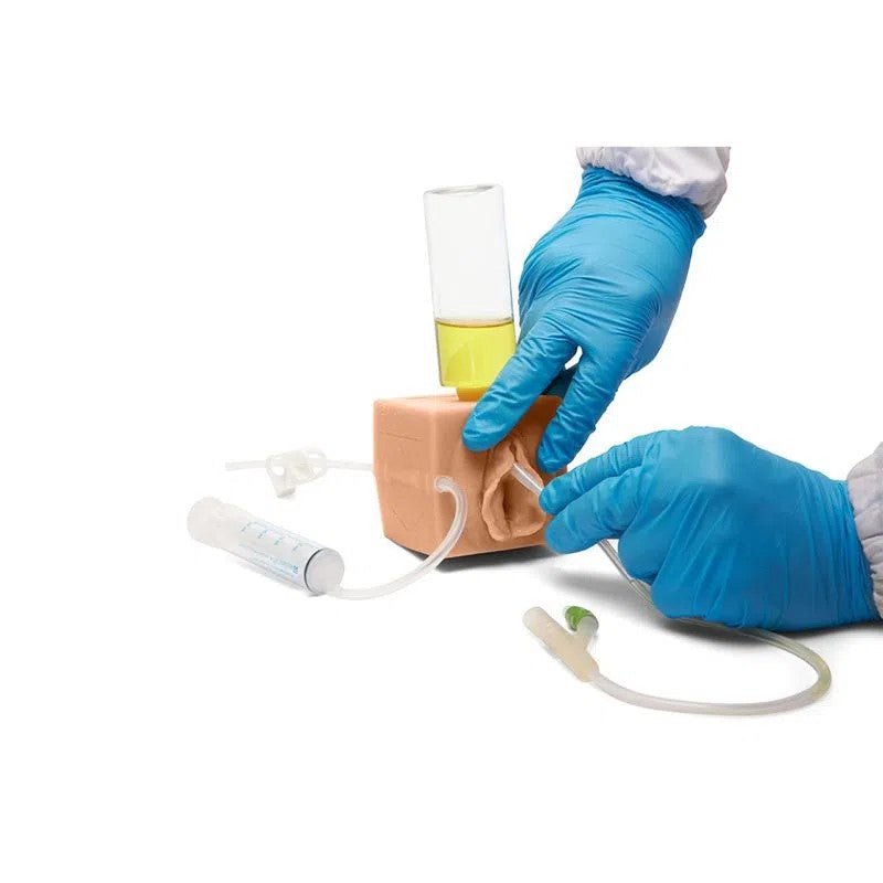 CAE Medicor MultiCUBE Trainer Model for Urinary Catheterization - Light - American Hospital Supply